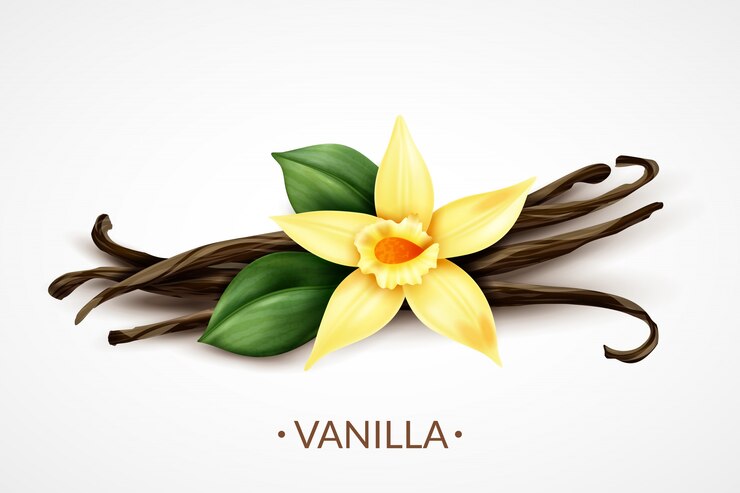 Yes, vanilla extract is halal